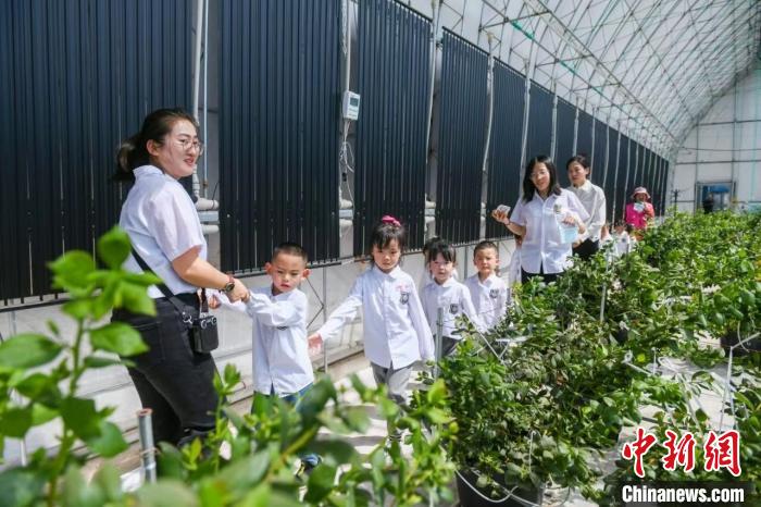 山西大同：科技赋能让农民不再“靠天吃饭” (http://www.aodeek.com/) hxca 第1张