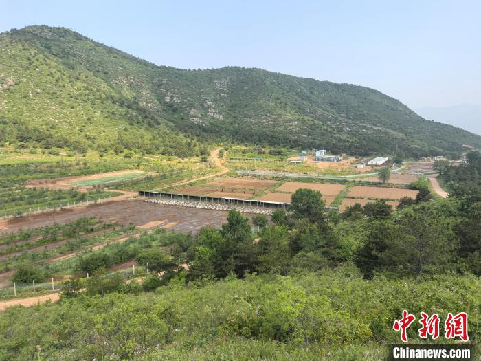 民营企业进京郊 唤醒乡村“沉睡资产”——北京市工商联“万企兴万村”京郊行助力农文旅融合 (http://www.aodeek.com/) hxca 第1张